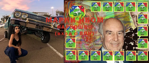 PSILOCYBIN Корсаков