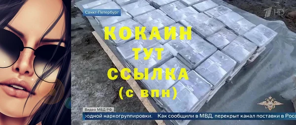 дмт Кодинск
