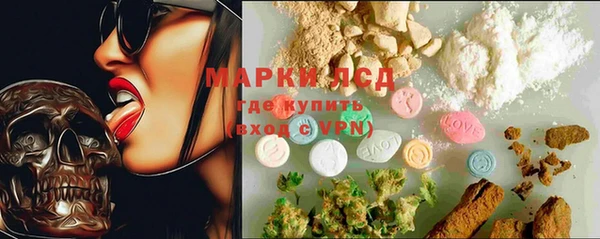 PSILOCYBIN Корсаков