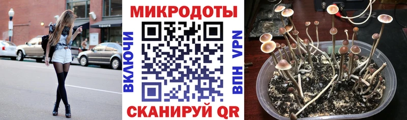 Галлюциногенные грибы Psilocybe  Купить где  Батайск 
