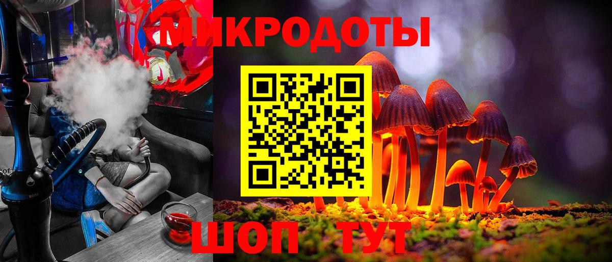 Псилоцибиновые грибы Psilocybe Батайск