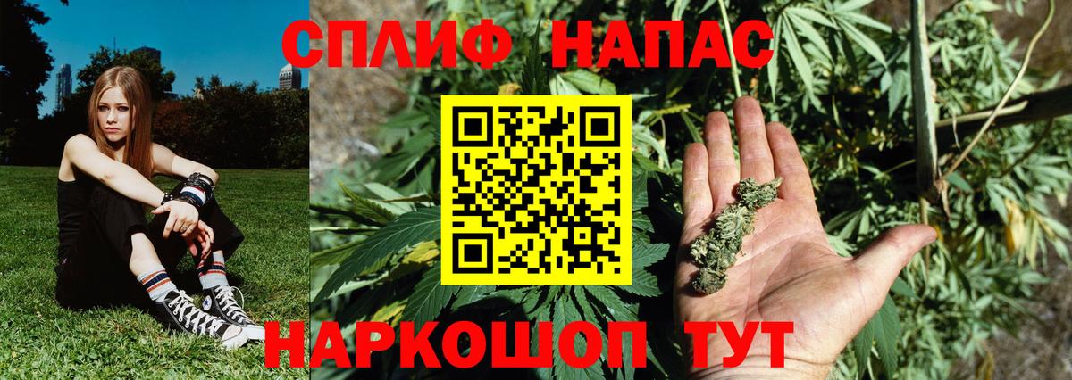 Канабис OG Kush  Вход с VPN  Конопля MAZAR  Батайск  Канабис семена  Канабис конопля 